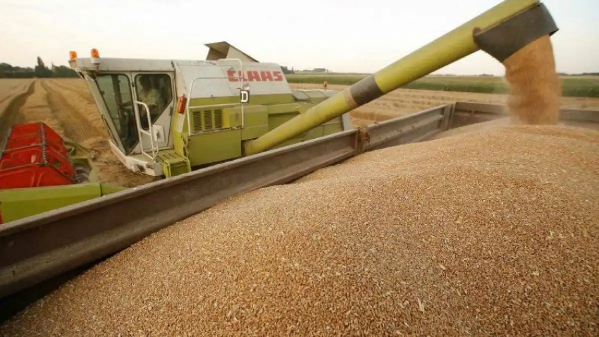 Miniștrii agriculturii din CEE au cerut stabilizarea situației importului de cereale