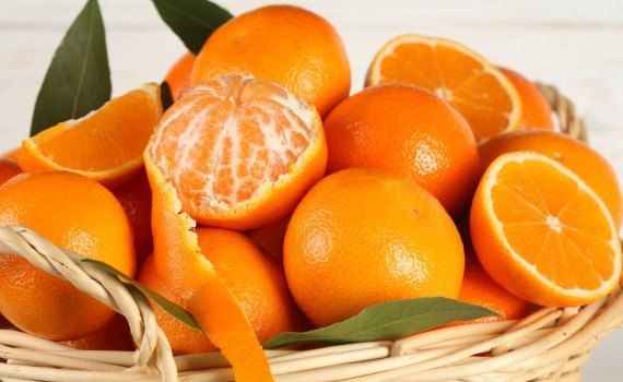 citrice pesticide Moldova - AgroExpert.md