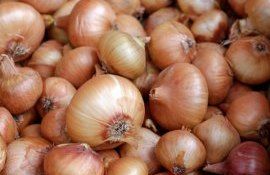 Рост цен на лук - agroexpert.md 