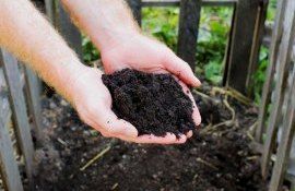 compost obținere fermieri - AgroExpert.md