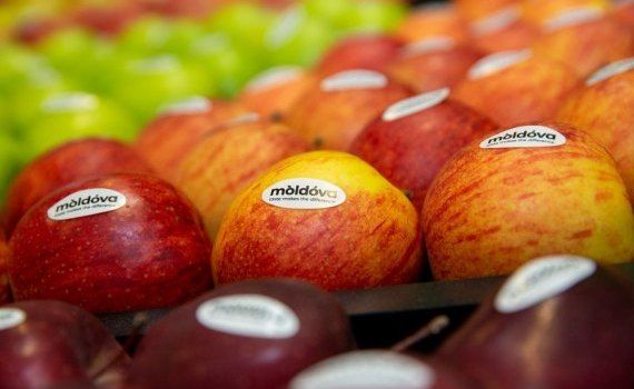 Конкурентоспособность молдавских яблок в Европе - agroexpert.md