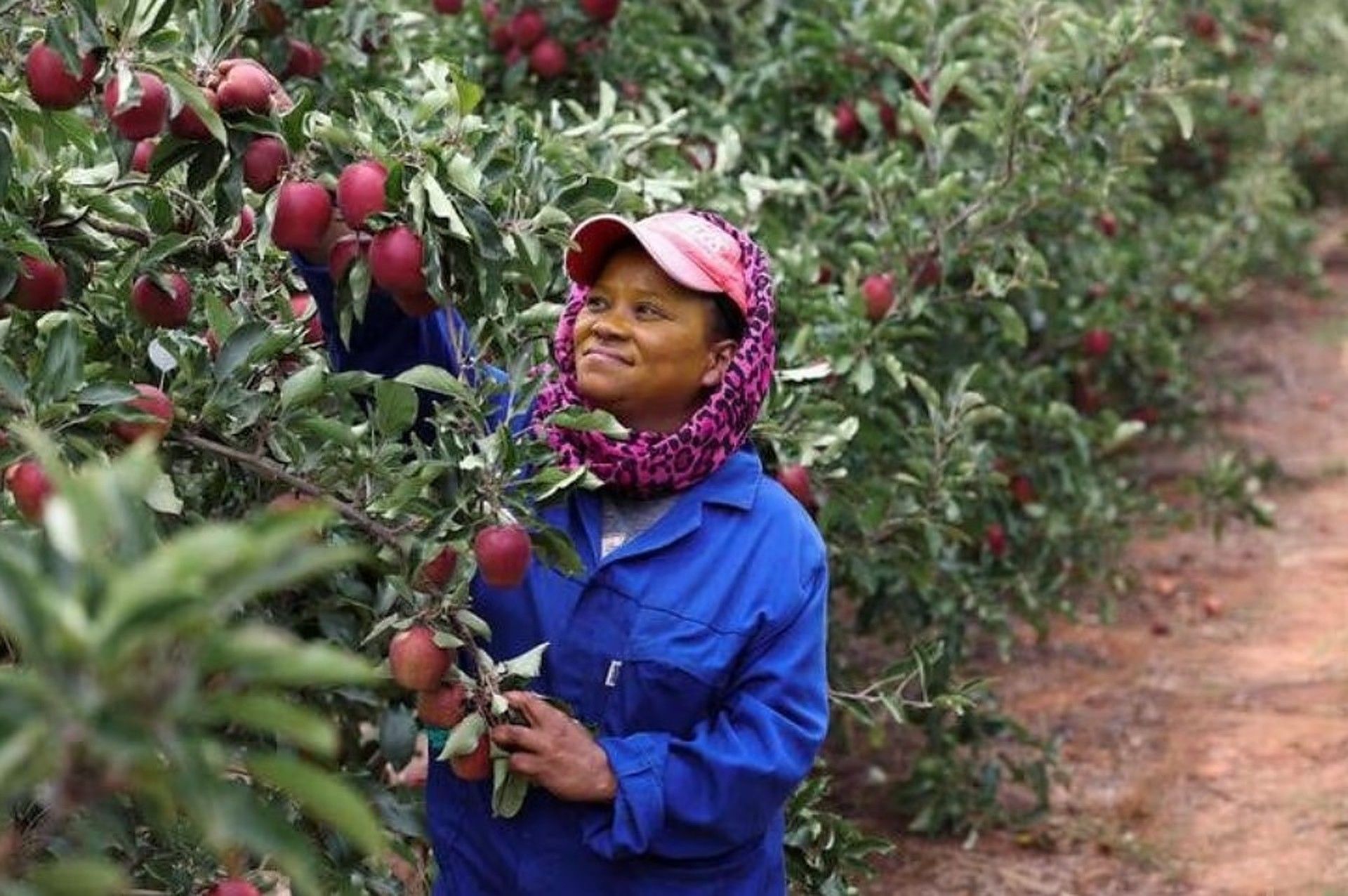 Africa irigare criză - AgroExpert.md