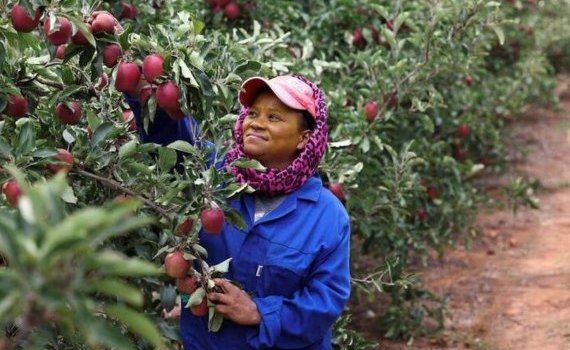 Africa irigare criză - AgroExpert.md