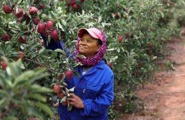 Africa irigare criză - AgroExpert.md