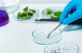 Bayer разработает безопасные средства защиты растений - agroexpert.md