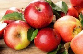 Новые внекорневые удобрения для садов - agroexpert.md