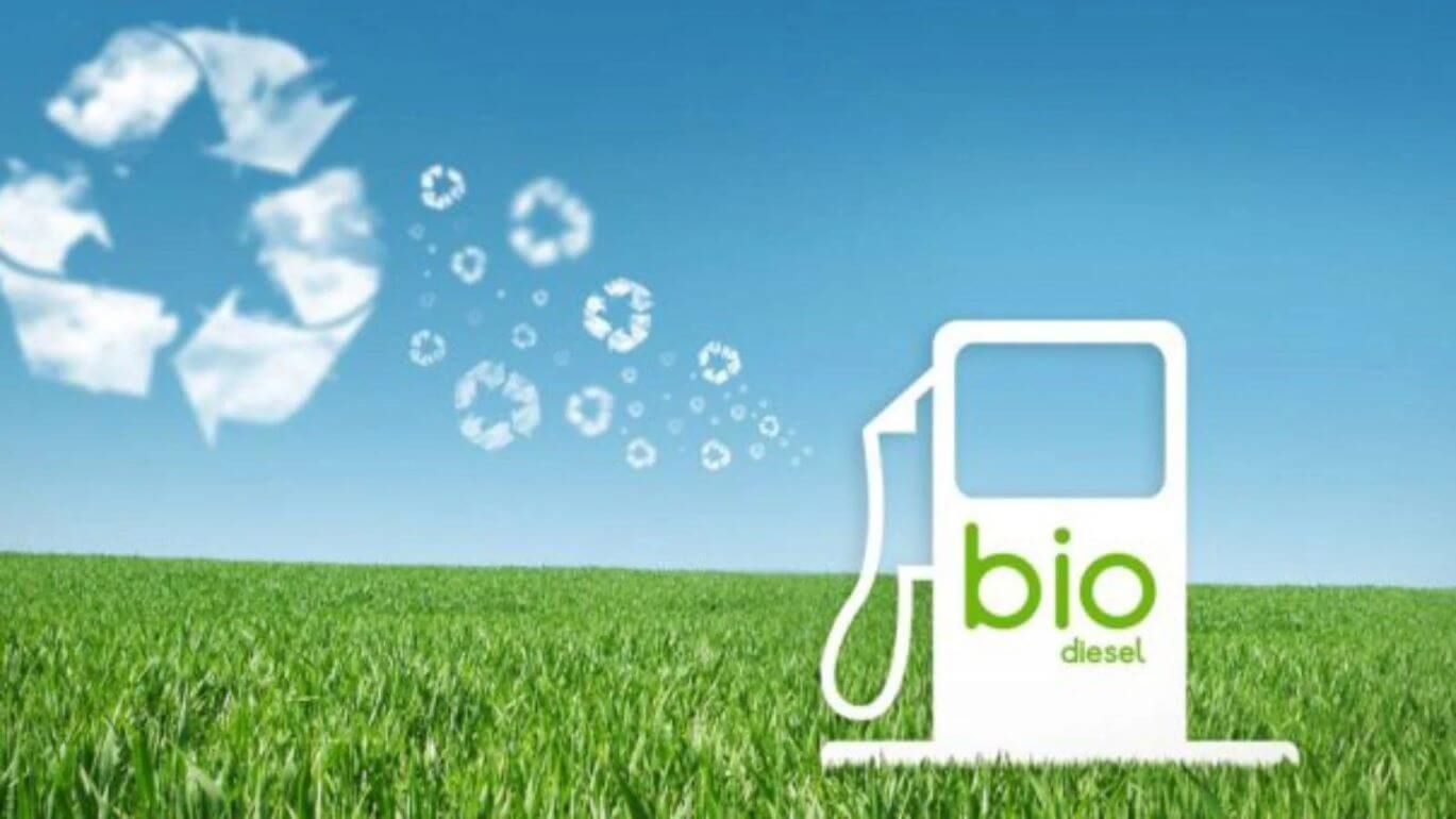 Отказ Германии от биотоплива из сельхозкультур - agroexpert.md