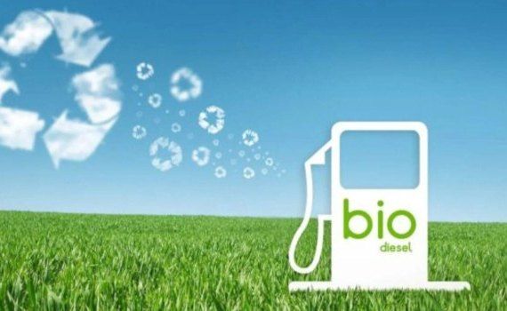 Отказ Германии от биотоплива из сельхозкультур - agroexpert.md
