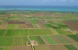 terenuri Ucraina minate - AgroExpert.md