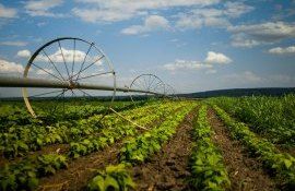 proiect agriclutură bani - agroExpert.md