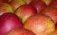 Условия хранения яблок - agroexpert.md