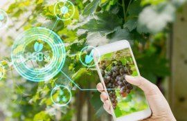 Гранты USAID в Молдове - agroexpert.md