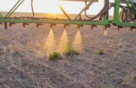 Технологии точного опрыскивания стремятся к удешевлению - agroexpert.md
