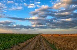 agricultura cădere, cereale - AgroExpert.md
