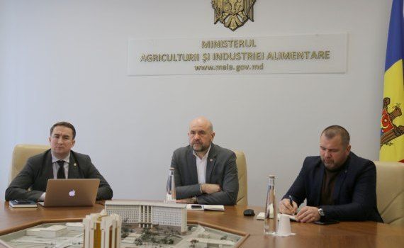 Развитие молдавского агросектора обсудили в MAIA - agroexpert.md