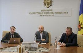 Развитие молдавского агросектора обсудили в MAIA - agroexpert.md