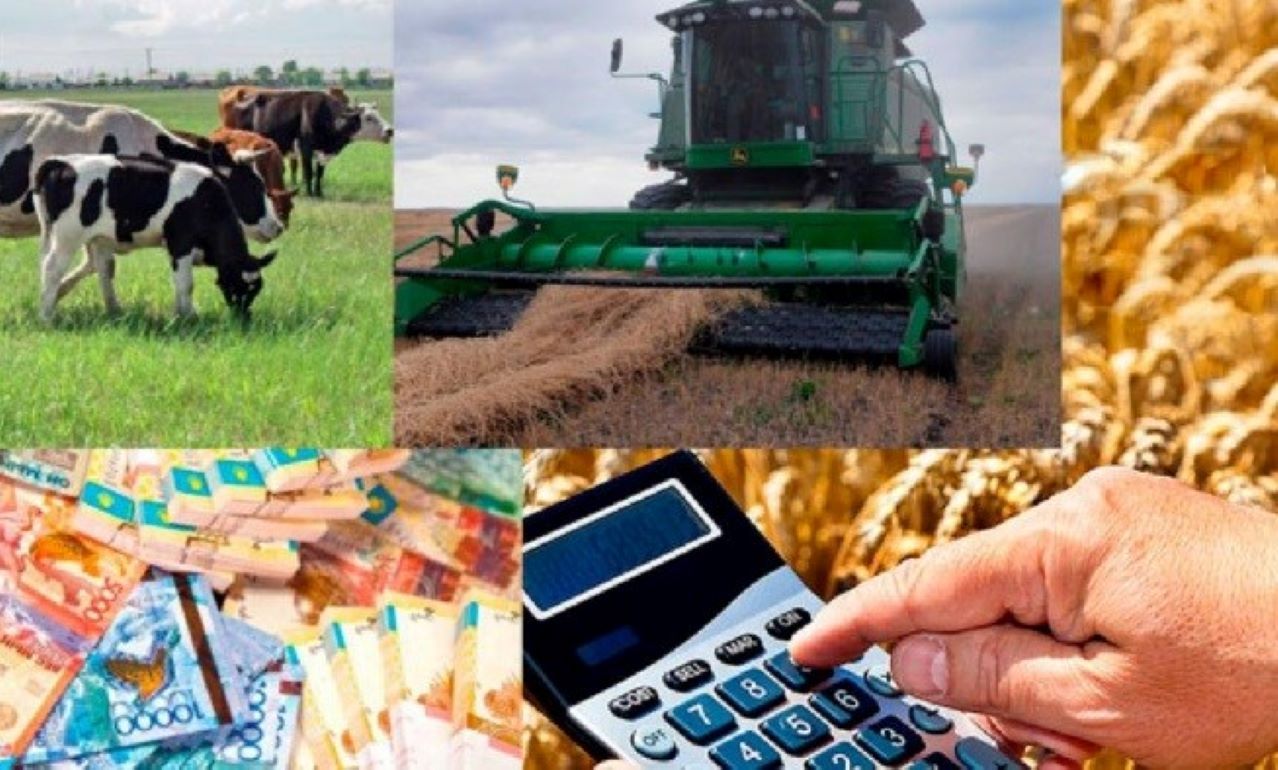 Статистические данные сельхозпроизводства Молдовы за 2022 год - agroexpert.md