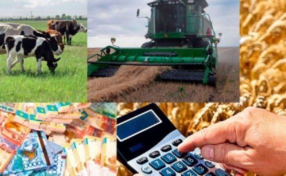 Статистические данные сельхозпроизводства Молдовы за 2022 год - agroexpert.md