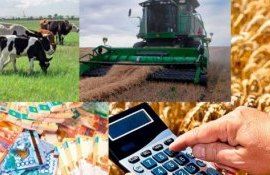 Статистические данные сельхозпроизводства Молдовы за 2022 год - agroexpert.md
