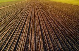 terenuri străni Forța Fermierilor - AgroExpert.md