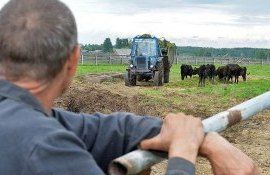 subvenții agricultoeri suport - AgroExpert.md