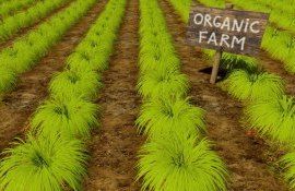 productie etichetare lege - AgroExpert.md