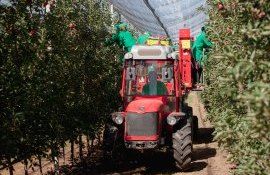 proiect bani asistență - AgroExpert.md