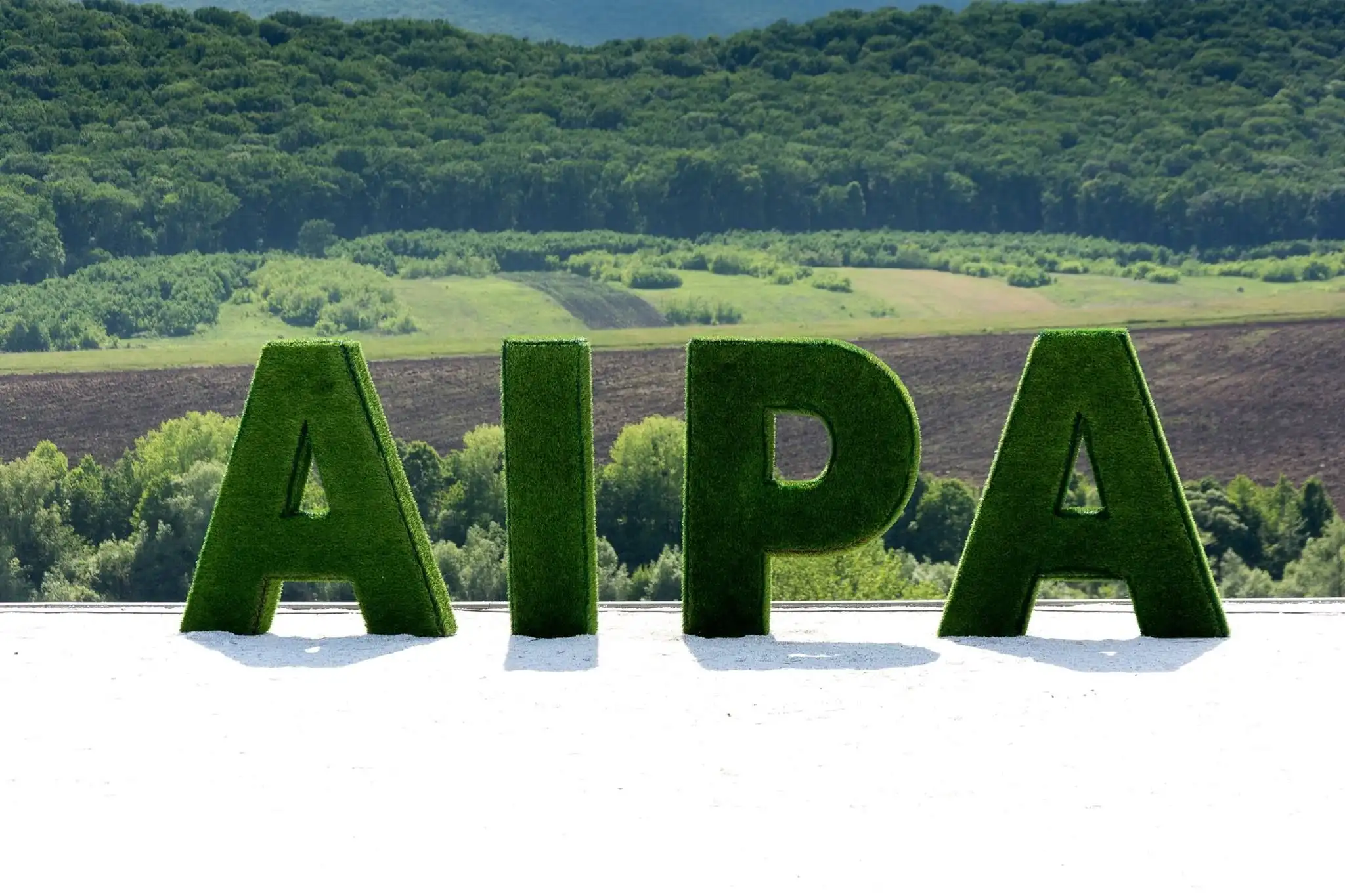 AIPA возобновил процесс утверждения к оплате заявок на получение финансовой поддержки, принятых в 2018 году