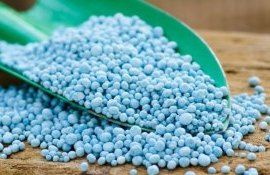 Кризис удобрений у европейских фермеров - agroexpert.md