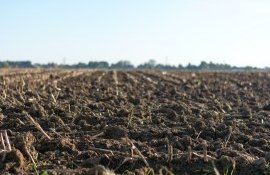 sol subvenții AIPA - AgroExpert.md