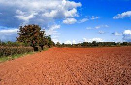 terenuri construcții business - AgroExpert.md