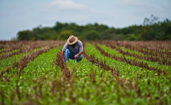 gospodării țărănești înregistrare Parlement - agroExpert.md