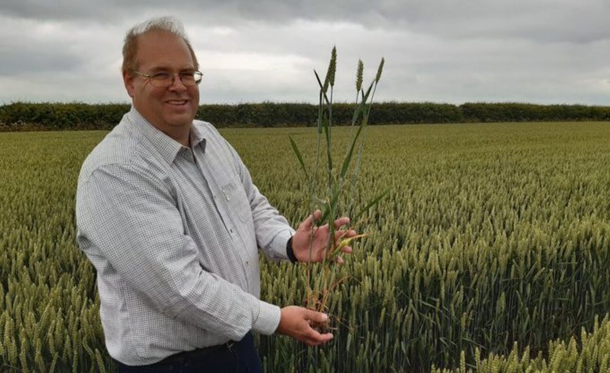 Установлен мировой рекорд урожайности пшеницы - 179,6 ц/га - agroexpert.md