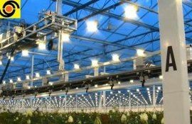 Автономный ультрафиолетовый робот для теплиц  - agroexpert.md