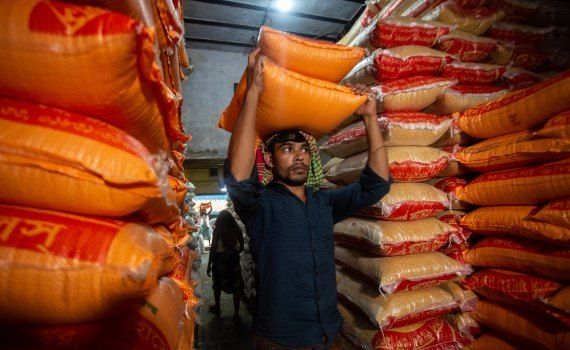 alimente prețuri FAO - AgroExpert.md