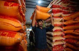 alimente prețuri FAO - AgroExpert.md