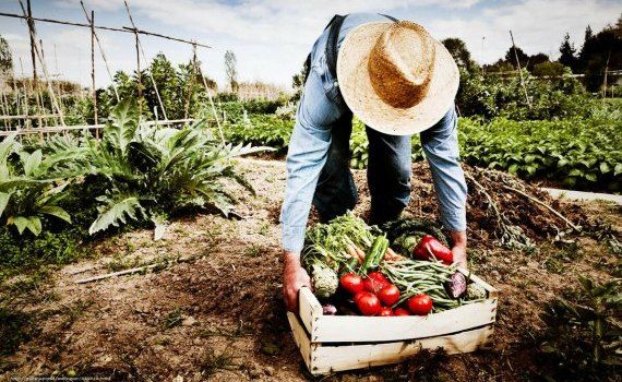 fermieri gospodării legislație - AgroExpert.md