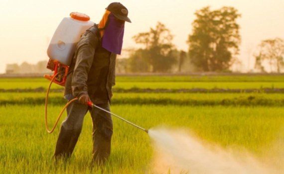 pesticide bulgaria interdicție - AgroExpert.md