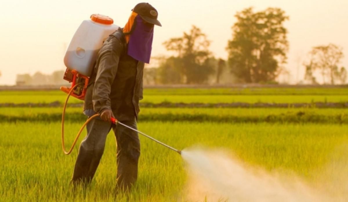 pesticide bulgaria interdicție - AgroExpert.md
