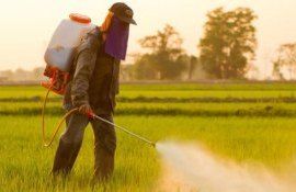 pesticide bulgaria interdicție - AgroExpert.md
