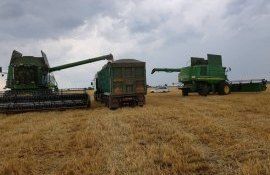 cereale recolta ucraina - AgroExpert.md
