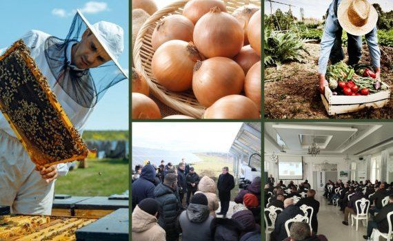Новости о сельском хозяйстве за неделю - Agroexpert.md