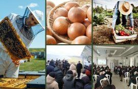 Новости о сельском хозяйстве за неделю - Agroexpert.md