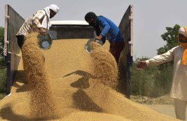 cereale export Ucraina - AgroExpert.md- 
