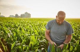 fermieri compensații gaz - AgroExpert.md