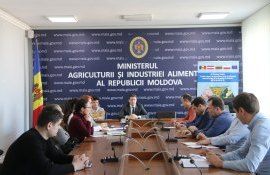 ambalaj de sticlă - agroexpert.md