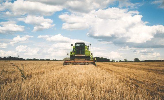 ratele de recreditare a liniilor de credit - agroexpert.md