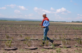 afaceri IMM suport - AgroExpert.md
