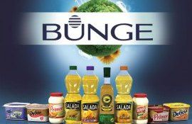 Прибыль компании Bunge снизилась до $1,6 млрд - agroexpert.md