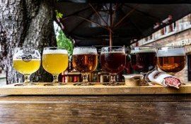 bere fabrici producție - AgroExpert.md